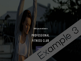 Fitness Website